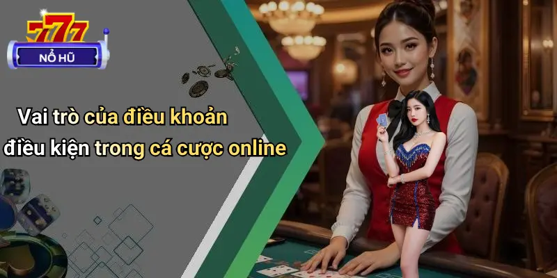 Điều Khoản Điều Kiện